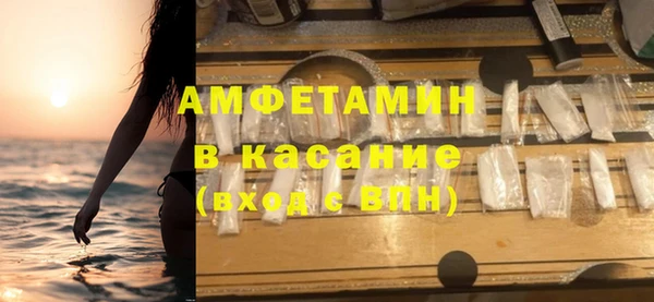 шишки Аркадак