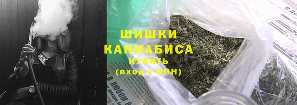 гашик Арсеньев