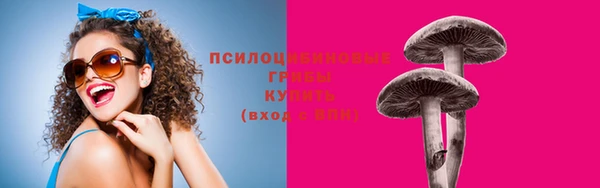ГАЛЛЮЦИНОГЕННЫЕ ГРИБЫ Касимов