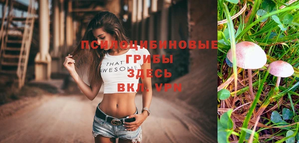 гашик Арсеньев