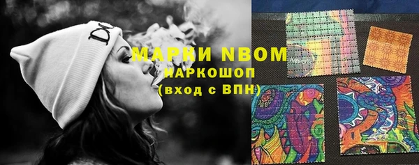 шишки Аркадак