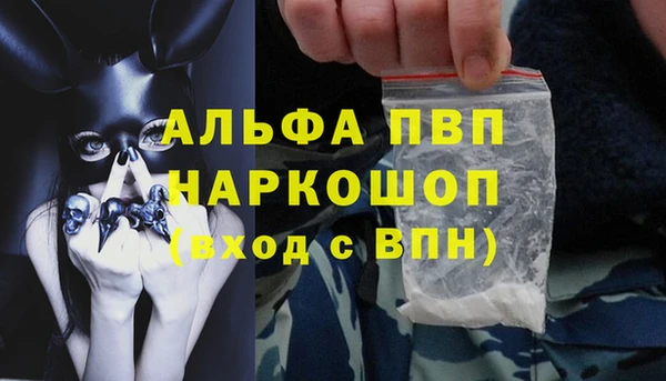 шишки Аркадак