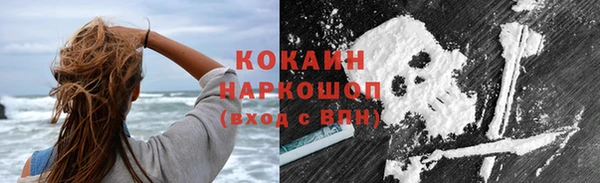 гашик Арсеньев