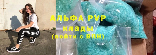 гашик Арсеньев
