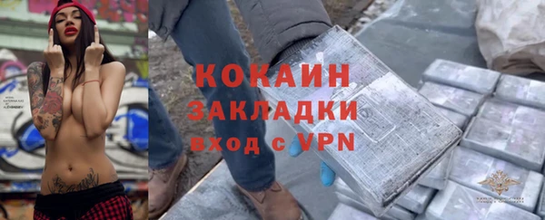 шишки Аркадак