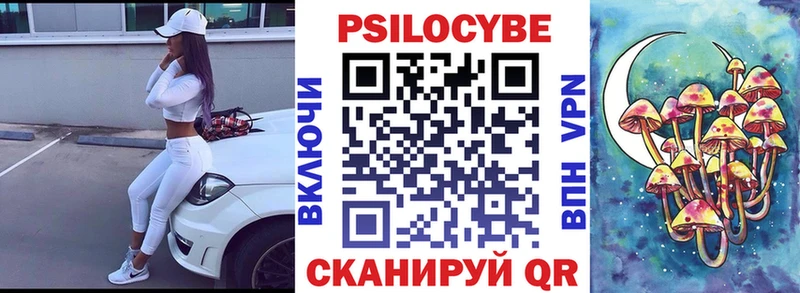 как найти закладки  Сунжа  Псилоцибиновые грибы Psilocybine cubensis 